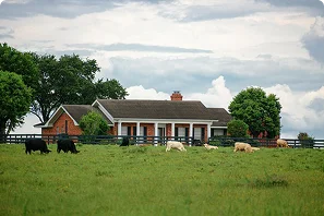 FARM HOUSES